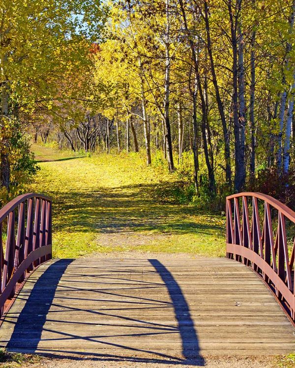 Springbrook nature center in fridley mn